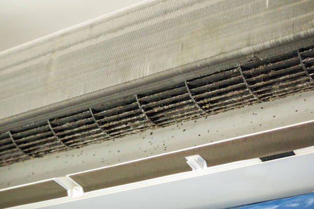 Best Ductwork Cleaning Services  in Thomasville, NC